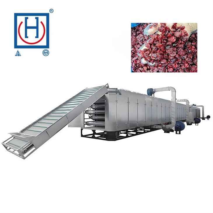 Belt Dryer For High-Sugar And Heat-Sensitive Materials