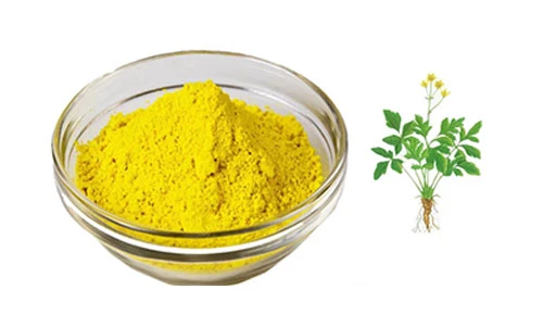 Ashwagandha Root Powder Demand Continues to Rise as Global Interest in Natura...