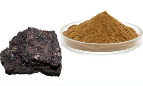 The characteristics and application value of Cassia angustifolia Powder