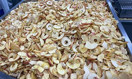Apple Powder Processing