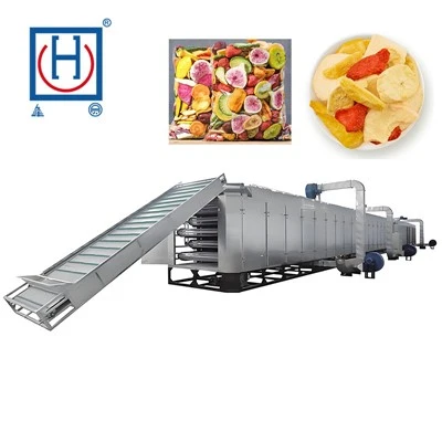 Belt Dryer For Dried Fruits And Vegetables