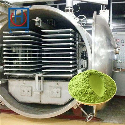 Green Tea Powder Freeze Dryer